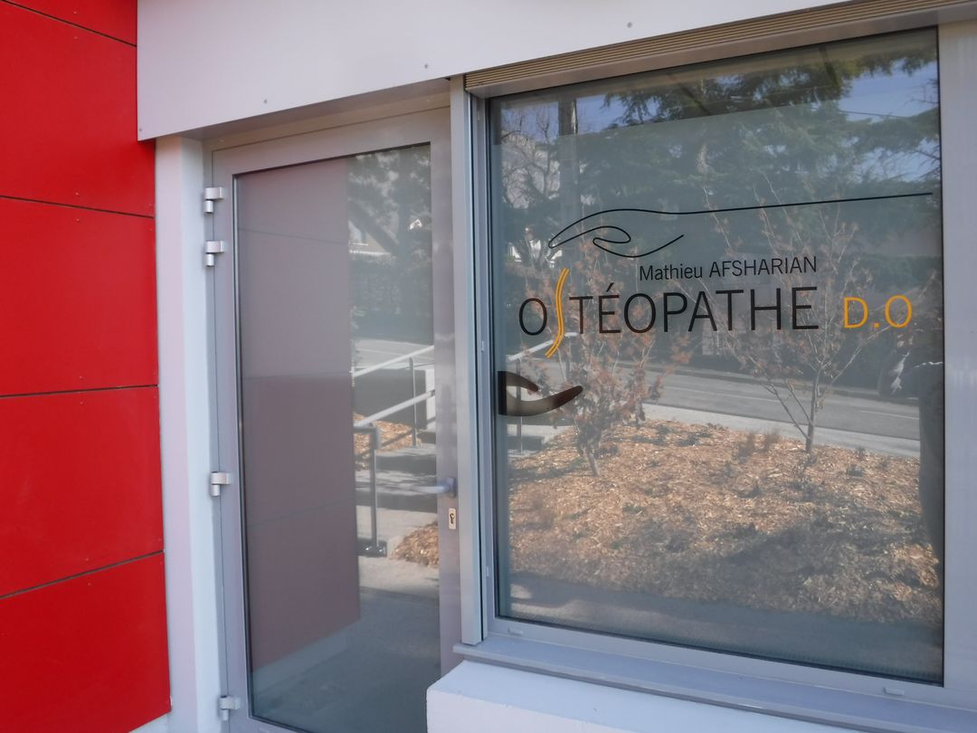 anatomie corps humain pour l'ostéopathie
